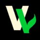 Virtual Village logo